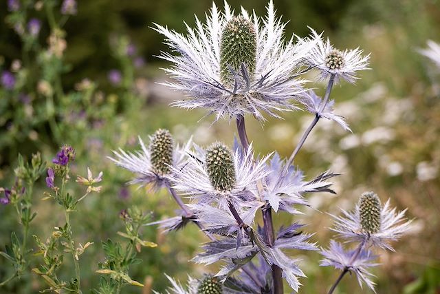 ©  YANNICK / Adobe Stock