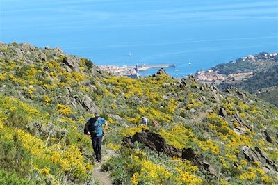 © Mabrouk Hamrit - Randonnée sur les hauteurs de Collioure - France Randonnée sur les hauteurs de Collioure - France