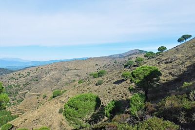 © Maël Moisan - Hauteurs de Llançà - Catalogne - Espagne Hauteurs de Llançà - Catalogne - Espagne