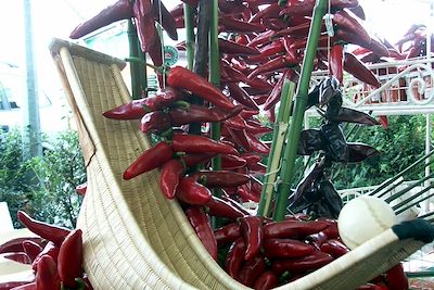 © Mathieu Houret - Piments - Pays basque - France Piments - Pays basque - France