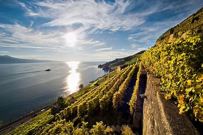 © Marcus Gyger / Switzerland Tourism - Le vignoble de St-Saphorin sur la rive du lac Leman - Suisse Le vignoble de St-Saphorin sur la rive du lac Leman - Suisse