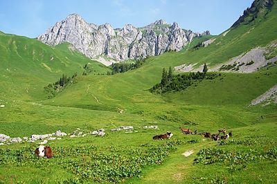 © Hubert Courtial - Alpages de Bise - Au pays du Léman - Chablais - Haute-Savoie - Alpes - France Alpages de Bise - Au pays du Léman - Chablais - Haute-Savoie - Alpes - France