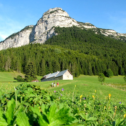 Randonnée France Alpes du Nord