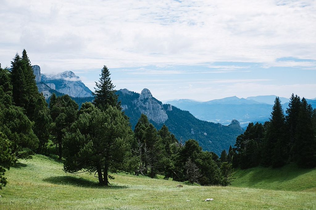 Image Randonnée Mont Aiguille - Lans en Vercors - balade haut plateaux du Vercors