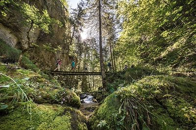 © BRUSINI Aurélien / hemis.fr - Randonnée dans les Gorges du Bruyant - Parc régional du Vercors - France Randonnée dans les Gorges du Bruyant - Parc régional du Vercors - France