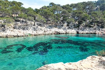 © Maël Moisan - Calanque de Port-Pin - Cassis - France Calanque de Port-Pin - Cassis - France