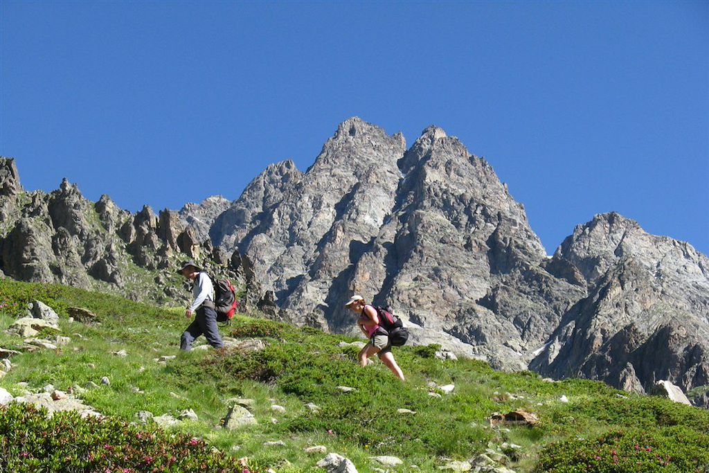 Image Randonnée Ecrins - Tour des Ecrins - Trek France