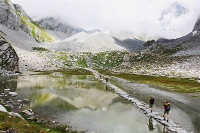 Trek France