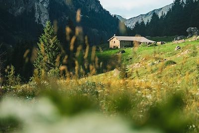 Chalet dans le parc national de la Vanoise - Pralognan-la-Vanoise - France