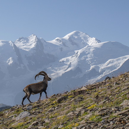 Trek France Alpes du Nord