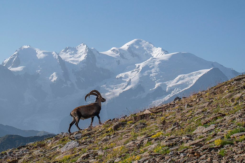 Image Grande traversée des Alpes - Trek France - GR5 Alpes