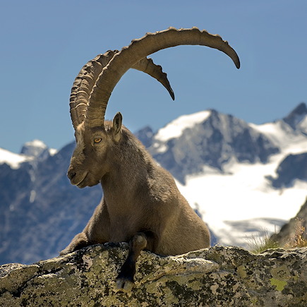 Trek France Alpes du Sud