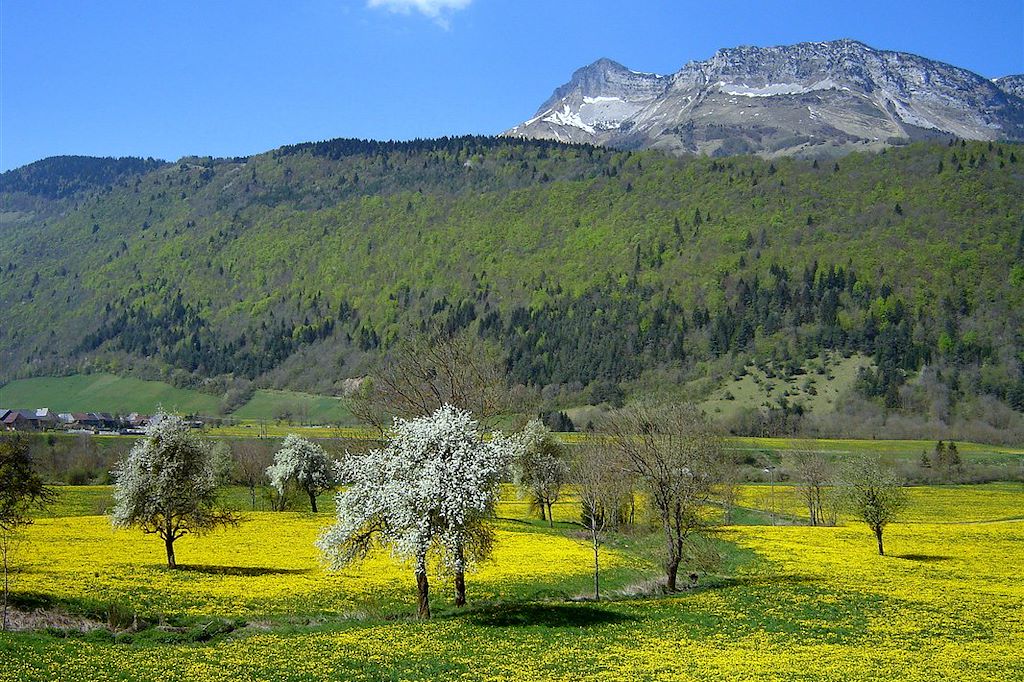 Image Randonnée Massif des Bauges