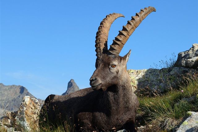 Randonnée : Les merveilles du Mercantour Voyage Les merveilles du Mercantour