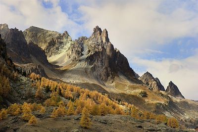 © Mauro Pasquero - Vallée de la Clarée - Alpes du Sud - France Vallée de la Clarée - Alpes du Sud - France