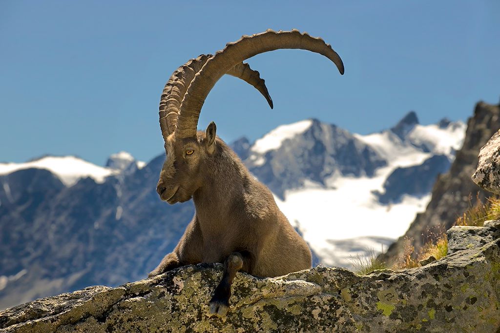 Image Grande traversée des Alpes - Trek France