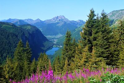 © Aude Merhan - Le lac de Montriond et le Roc d'Enfer depuis le col de Bassachaux - Grande Traversée des Alpes - France Le lac de Montriond et le Roc d'Enfer depuis le col de Bassachaux - Grande Traversée des Alpes - France