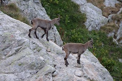 © Marc Laurans - Parc national du Mercantour Parc national du Mercantour