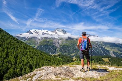 © CAVALIER Michel / hemis.fr - Vue sur le Mont Pourri - La Vanoise - France Vue sur le Mont Pourri - La Vanoise - France