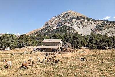 Haute-Bléone - Provence-Alpes-Côte d'Azur