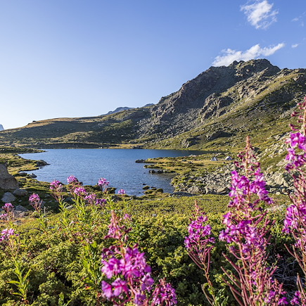 Randonnée France Alpes du Sud