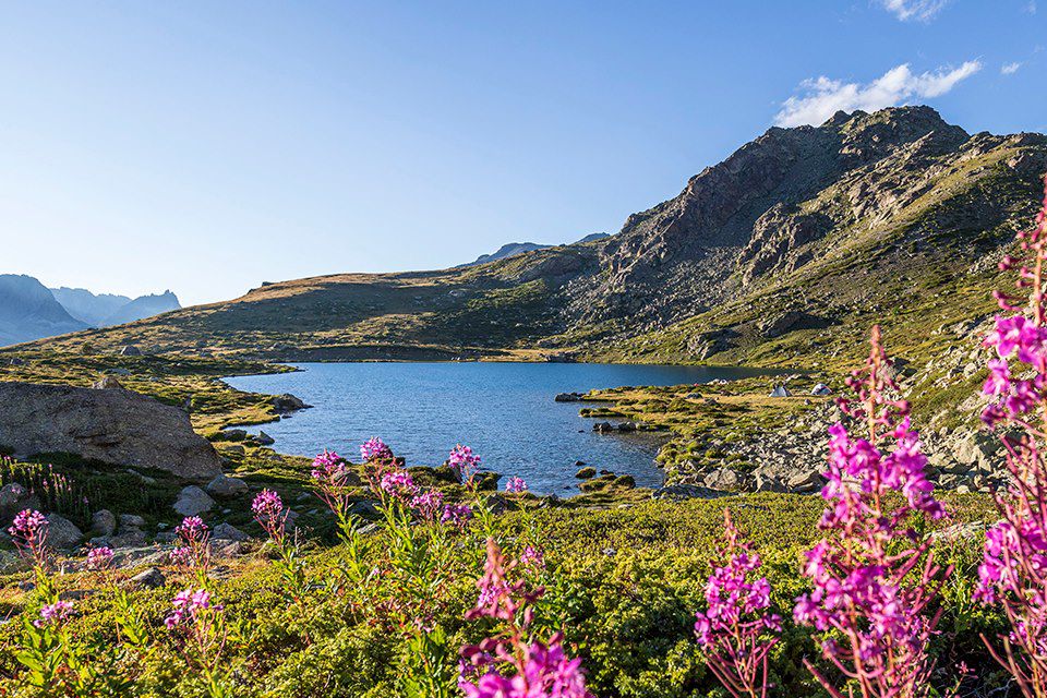 Image Randonnée Névache - Randonnée Vallée de la Clarée