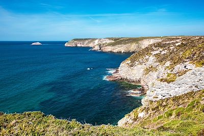 © Simon Bourcier / CRTB - Falaises du Cap Fréhel - Côtes-d'Armor - Bretagne - France Falaises du Cap Fréhel - Côtes-d'Armor - Bretagne - France