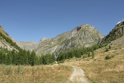 © arenysam / Adobe Stock - Sentier de randonnée dans le Champsaur - Alpes - France Sentier de randonnée dans le Champsaur - Alpes - France