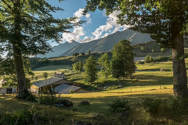 © jeanmichel deborde / Adobe Stock