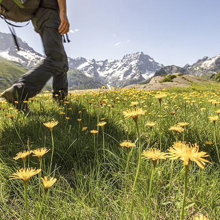Multi-activités Alpes du Sud