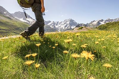 Randonnée - Parc national des Ecrins - France