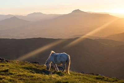 © AZAM Jean-Paul / hemis.fr - Coucher de soleil sur la Rhune - Itxassou - Pays-Basque - France Coucher de soleil sur la Rhune - Itxassou - Pays-Basque - France