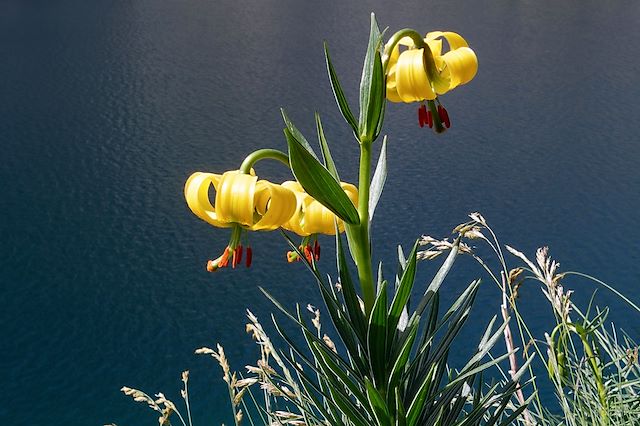 Voyage Lumières et rivières du Val d'Azun