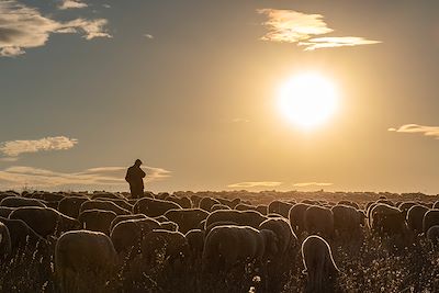 © Joe McUbed / Adobe Stock - Berger  Berger