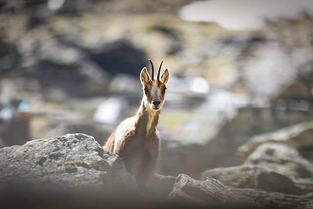 © Charles LIMA / Adobe Stock
