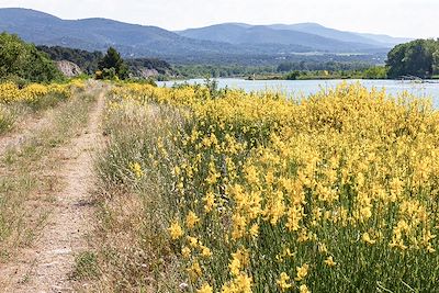 Rivière de la Durance - Provence - France