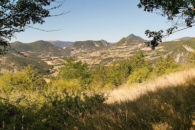 Baronnies provençales - Hautes-Alpes - France