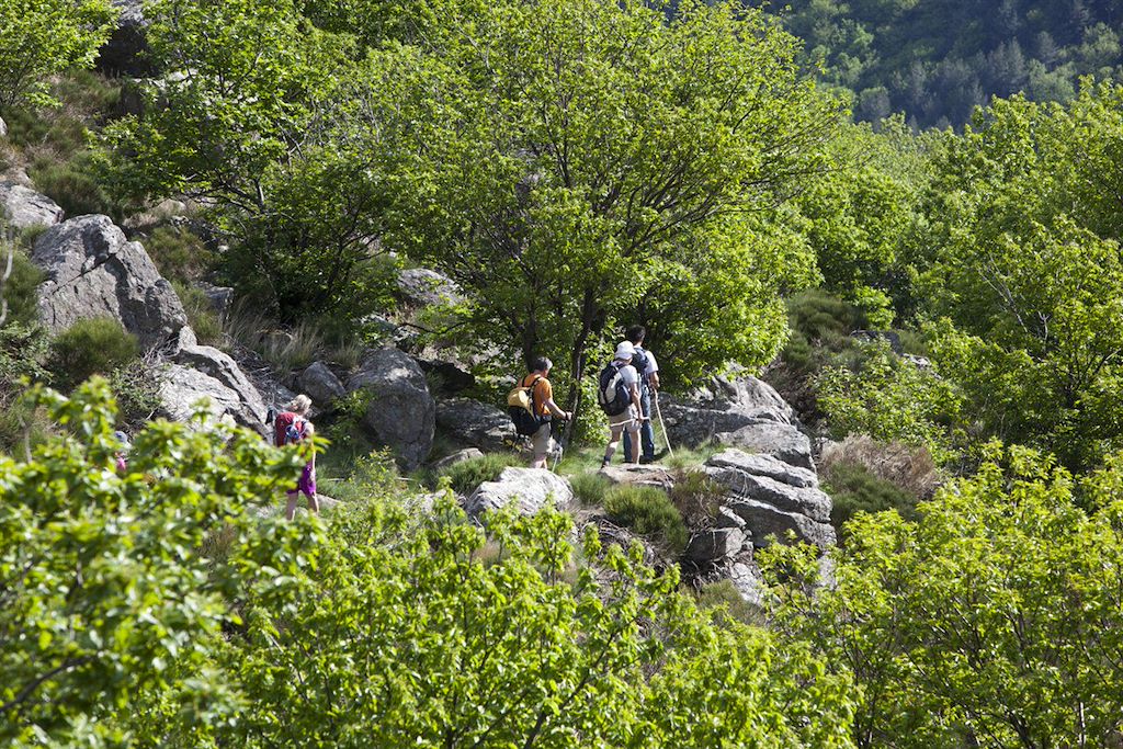 Image Randonnée Ardèche - rando dans le piémont ardéchois