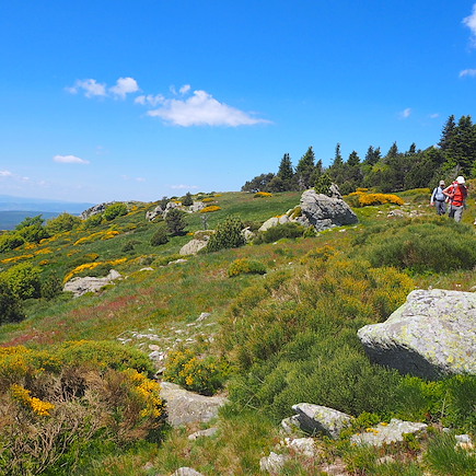 Randonnée France Massif Central