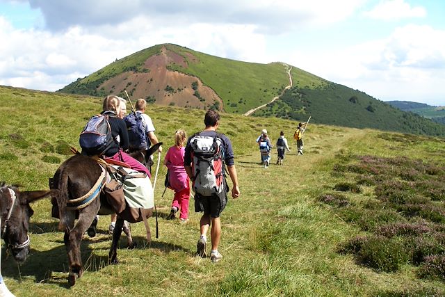 Voyage Rando âne près des volcans d'Auvergne
