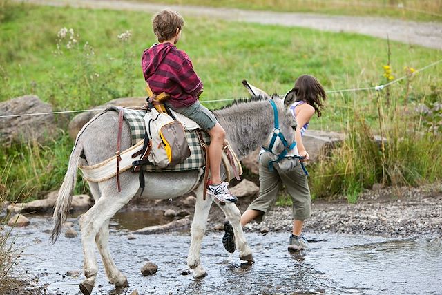 Voyage Rando âne près des volcans d'Auvergne