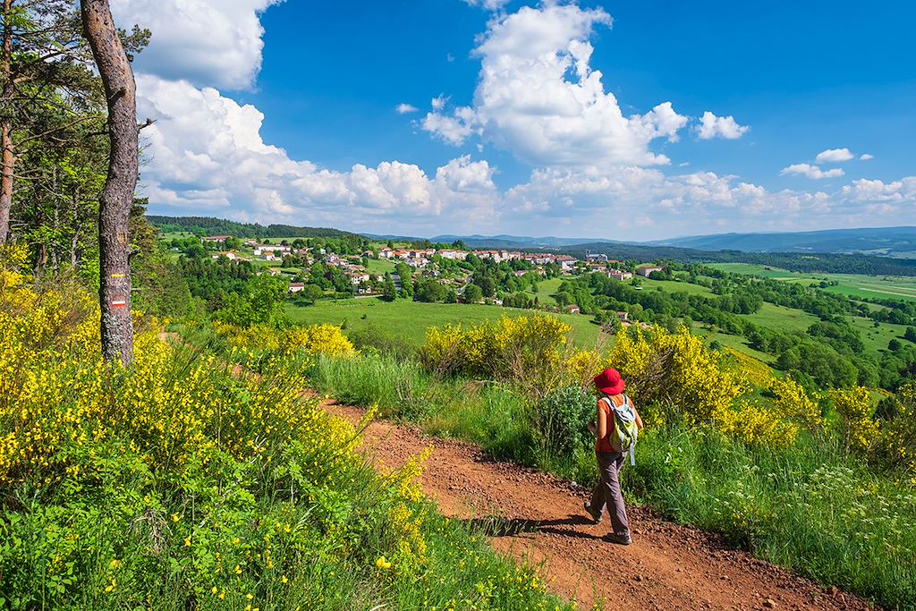 Image Chemin de Stevenson - Randonnée Haute Loire