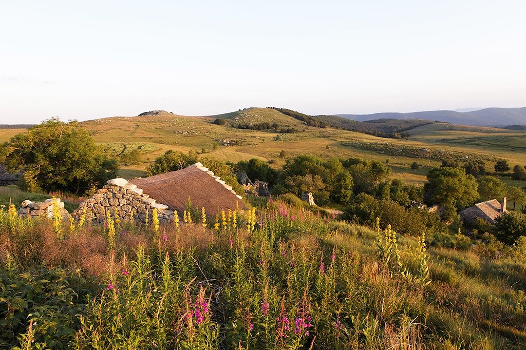 Image Randonnée Stevenson - Randonnée Vallée du Lot - Randonnée Massif Central
