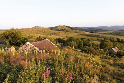 © GUY Christian / hemis.fr - Hameau de l'Hôpital - Mont-Lozère - Parc National des Cévennes - Lozère - France Hameau de l'Hôpital - Mont-Lozère - Parc National des Cévennes - Lozère - France