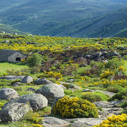 Randonnée France Massif Central