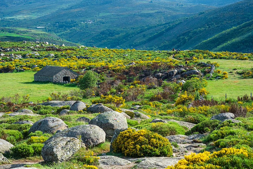Image Chemin de Stevenson - Randonnée Haute Loire - Randonnée Cévennes