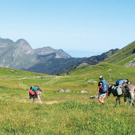 Randonnée avec âne France Alpes du Nord