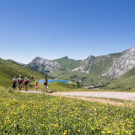 Randonnée avec âne France Alpes du Nord