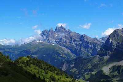 © Thibault Von Euw - Col de Coux - Haute-Savoie - France Col de Coux - Haute-Savoie - France
