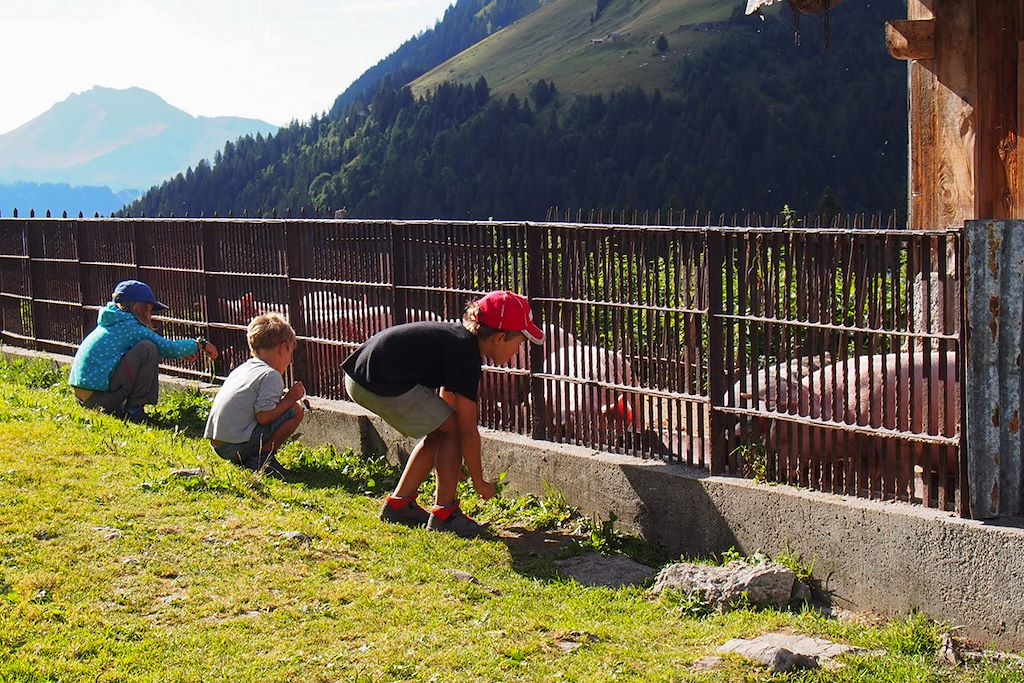 Image Voyage en famille - Randonnée Chablais